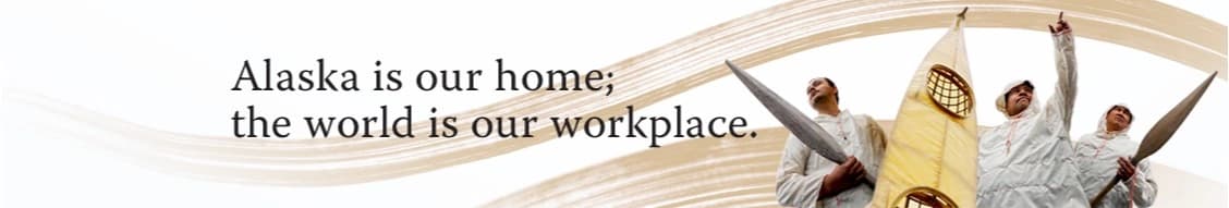 Chugach Government Solutions, Llc banner