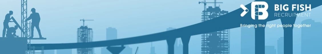 Big Fish Consult banner