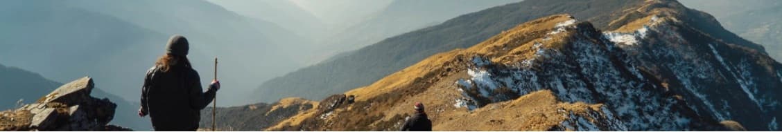 Alpine Home Air banner