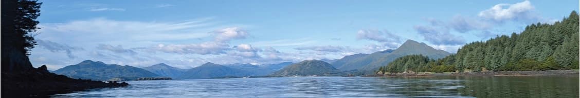 Koman Holdings, Llc banner