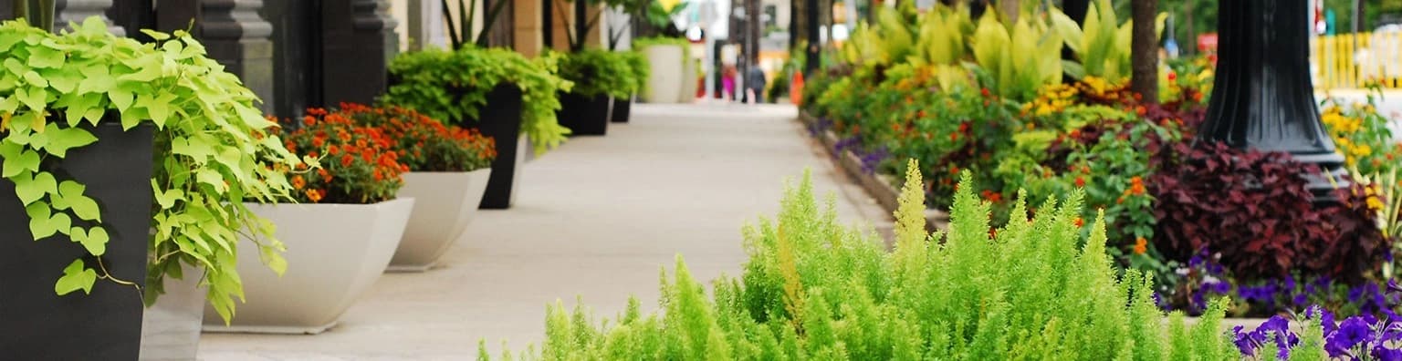 Ruppert Landscape banner