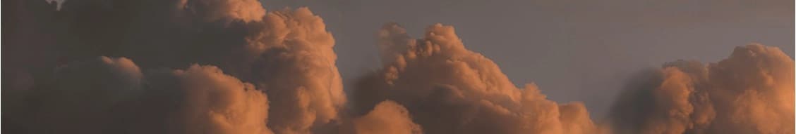 Bosa Properties banner