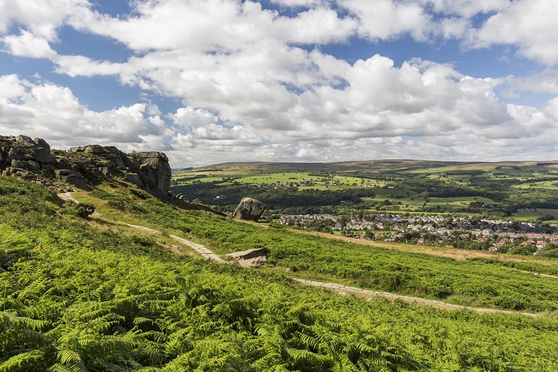 dacre, son & hartley banner