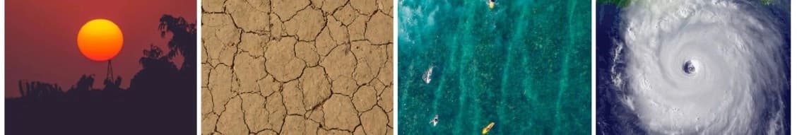 case consultants international banner