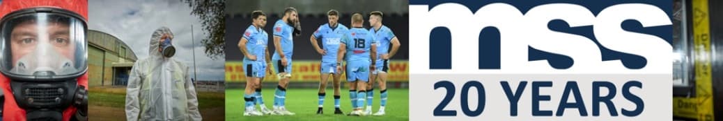 The Mss Group banner