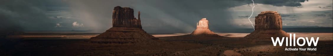 Willow banner
