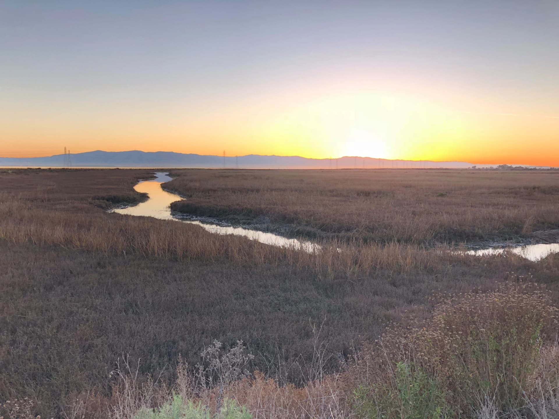 keish environmental banner