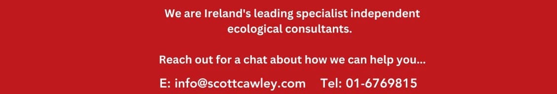 Scott Cawley Ltd banner