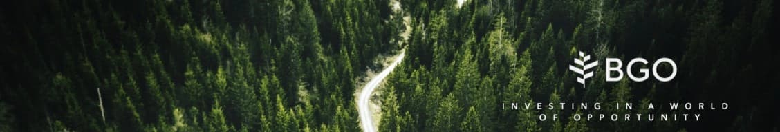 Bgo banner