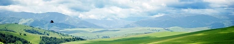 Scs Engineers banner