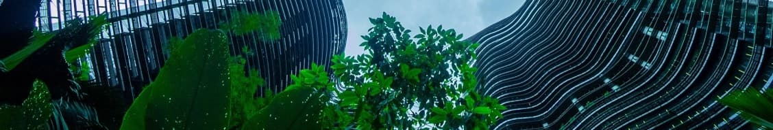 Talent Motion banner