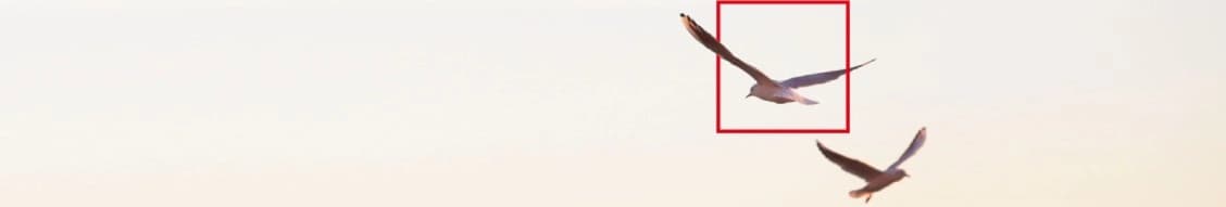 Altrad Services Apac banner