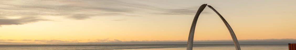 Ukpeaġvik Iñupiat Corporation banner