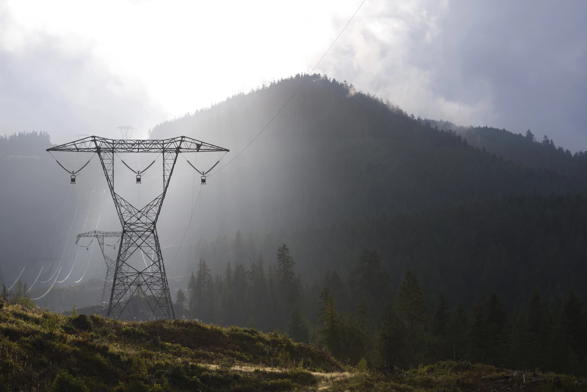 Forbes Bros. Group Of Companies banner