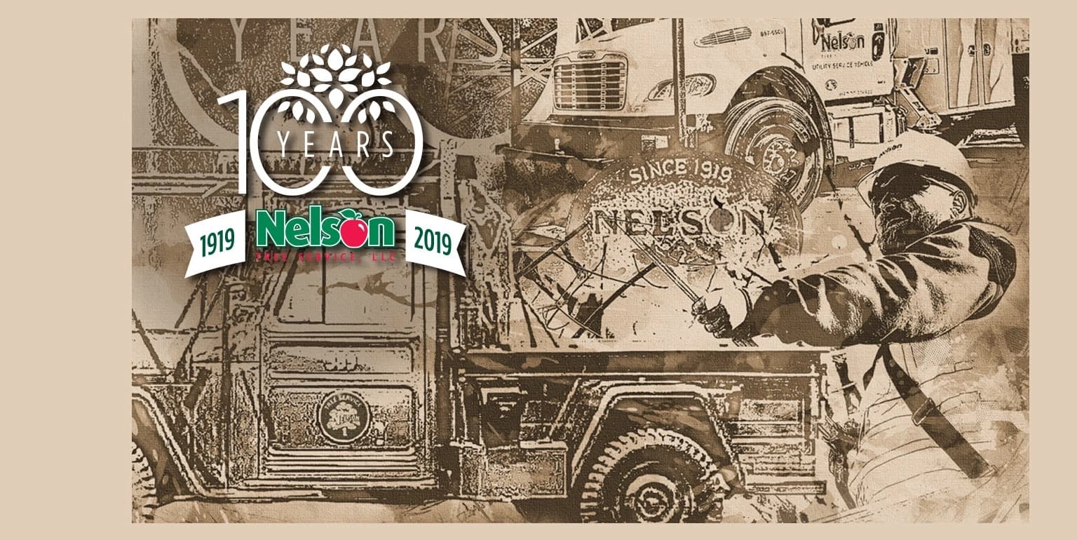 Nelson Tree Service, Llc banner