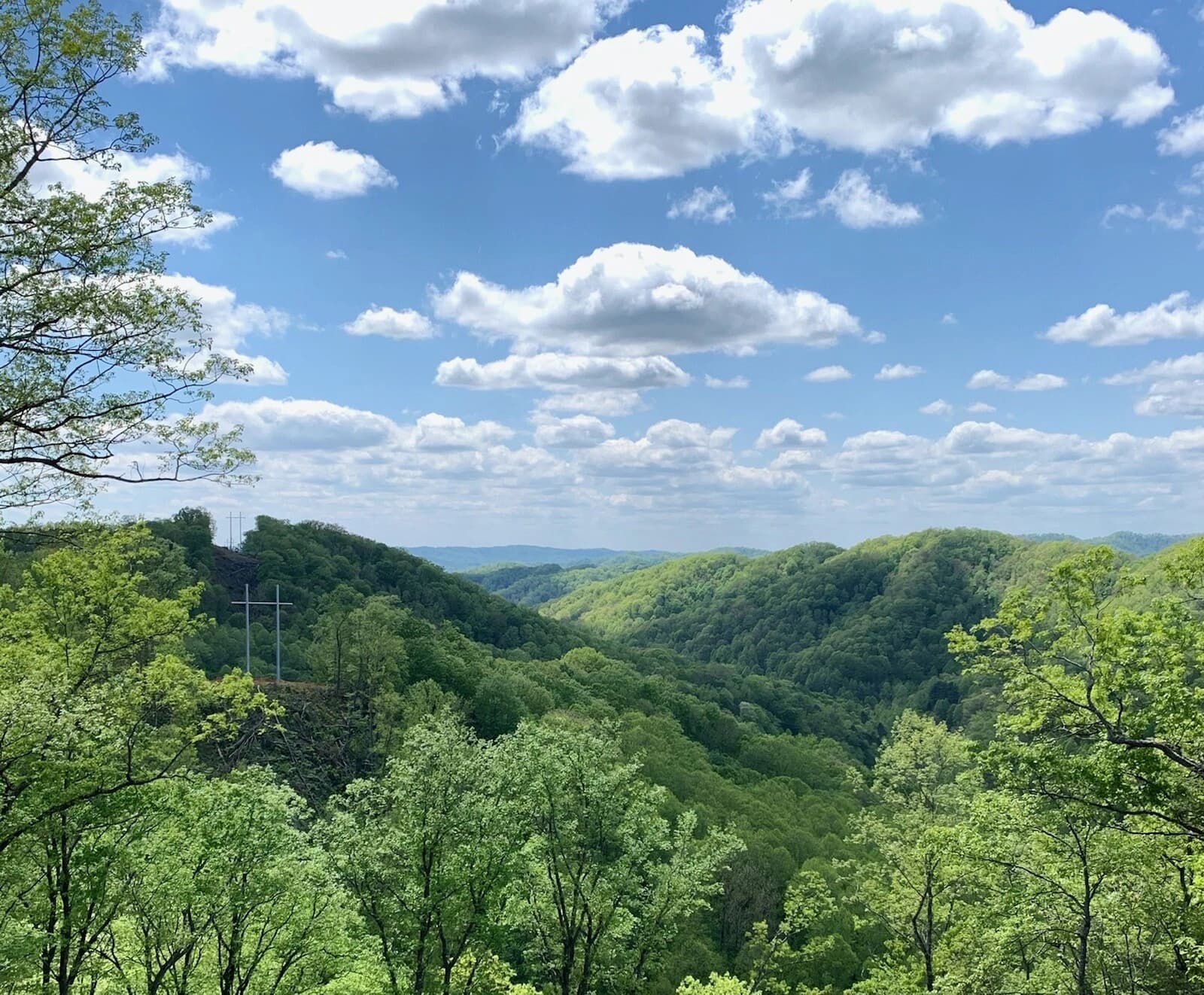 Service Electric Company banner