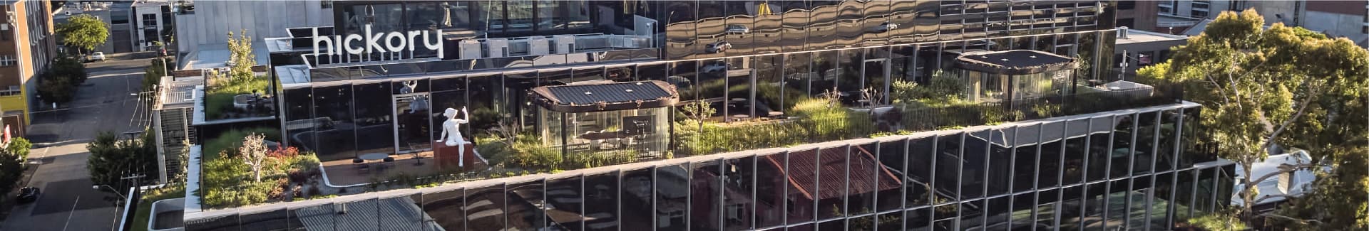 Hickory banner
