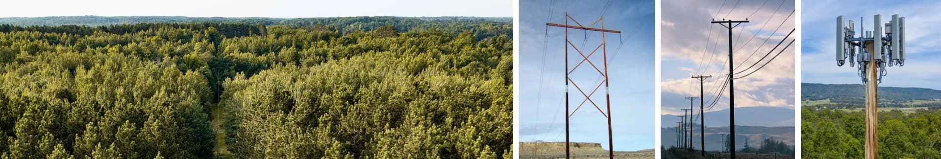 Bell Lumber And Pole Company banner