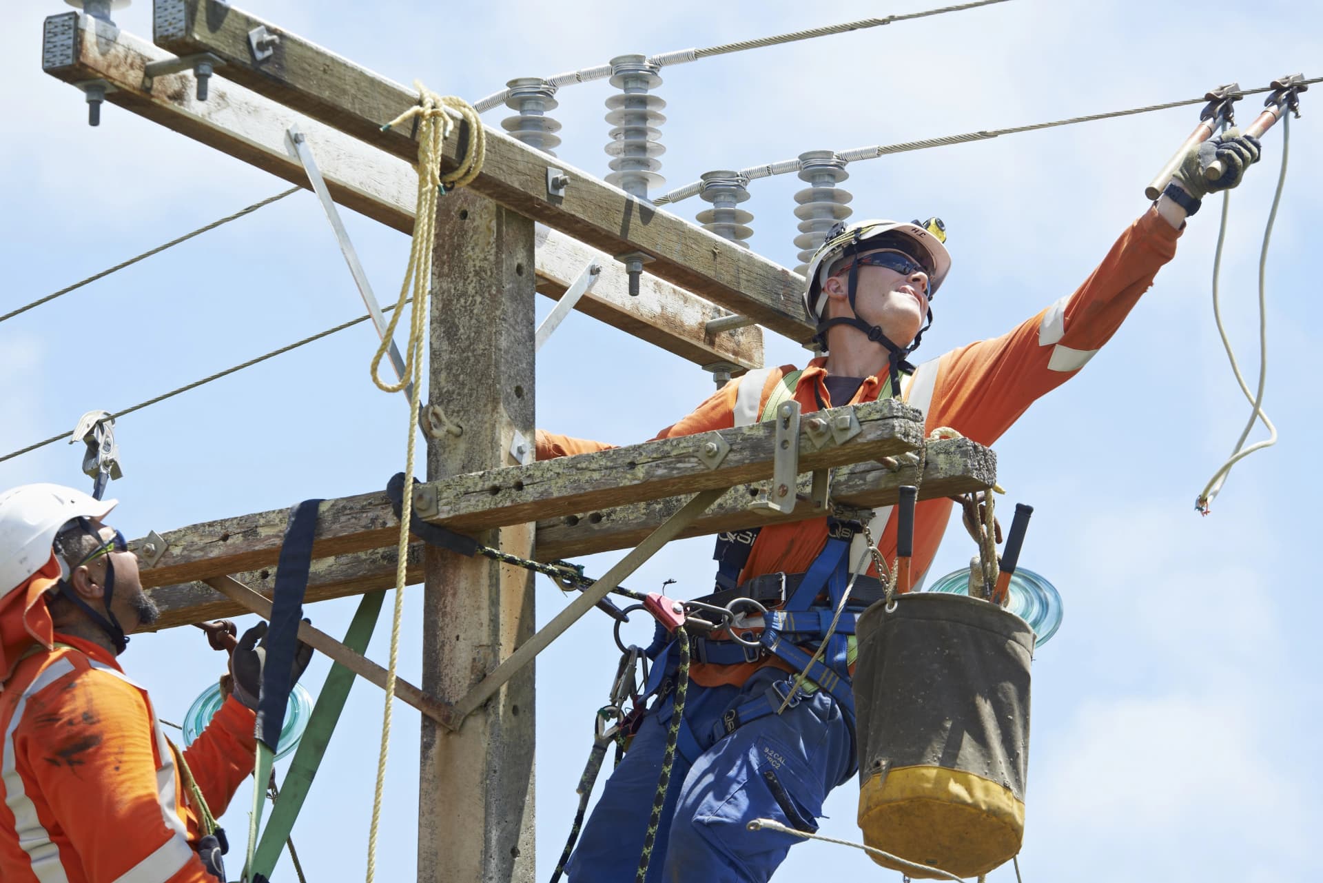 the lines company banner