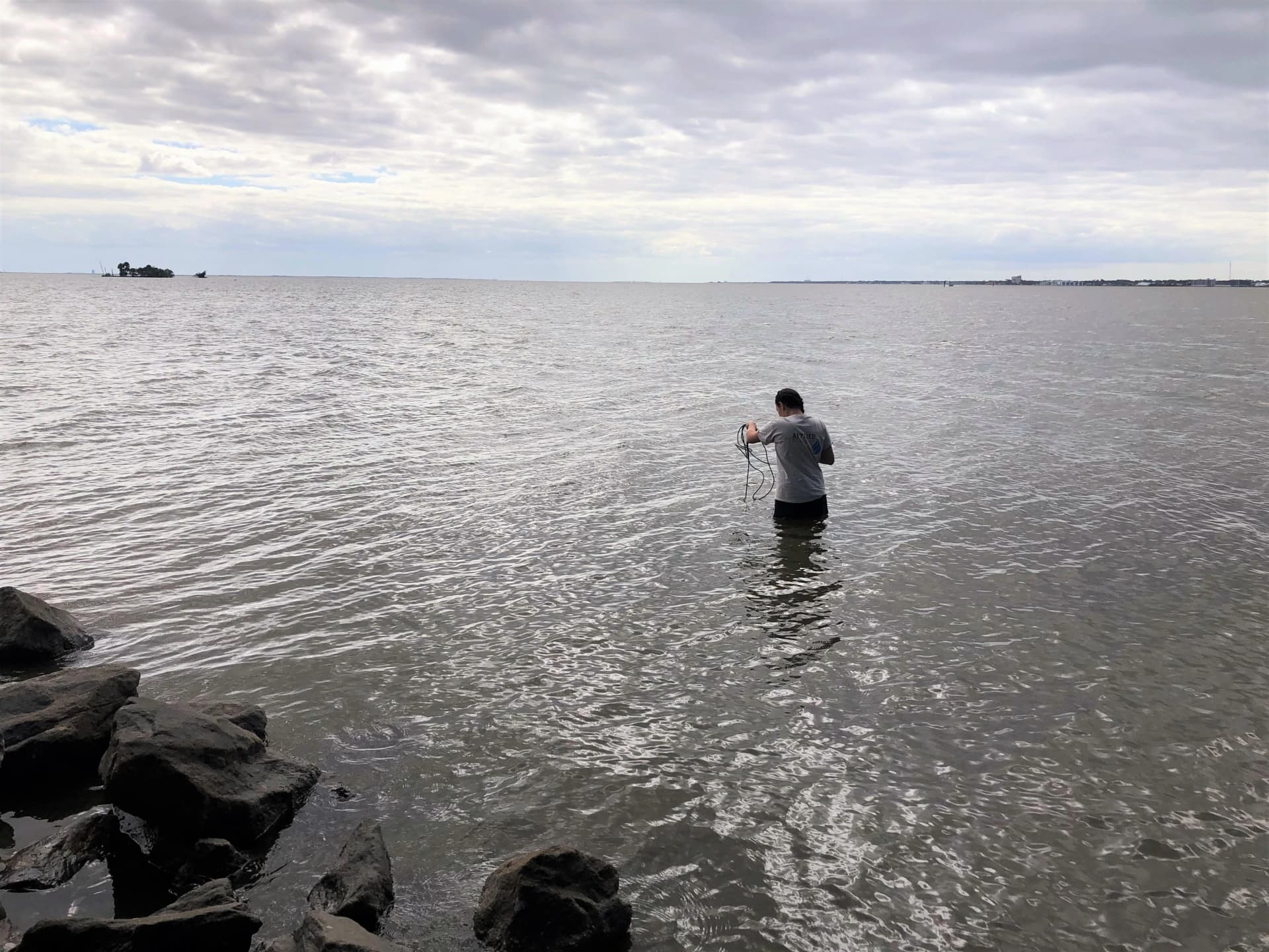 applied ecology, inc. banner