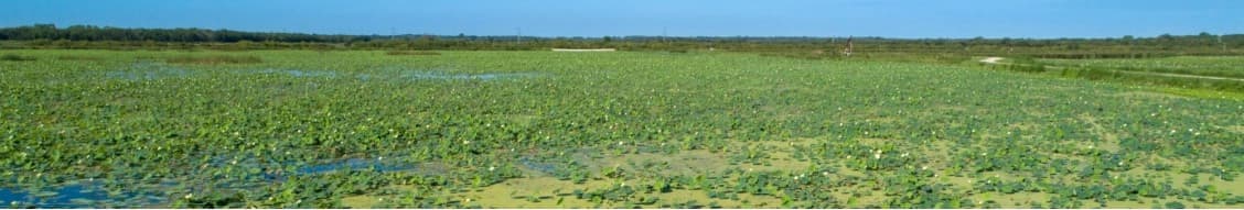 Tarrant Regional Water District banner