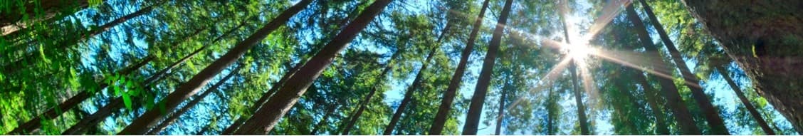 Regal Rexnord banner