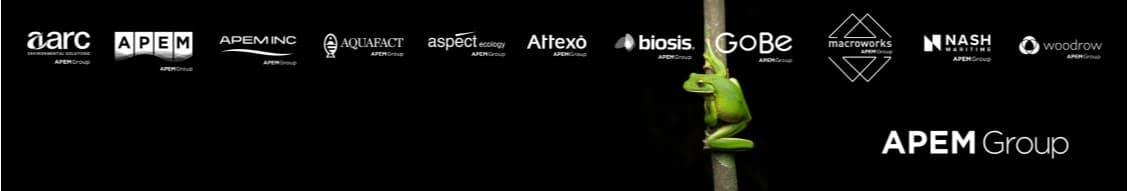 Apem Group banner
