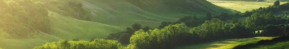 True Environmental banner