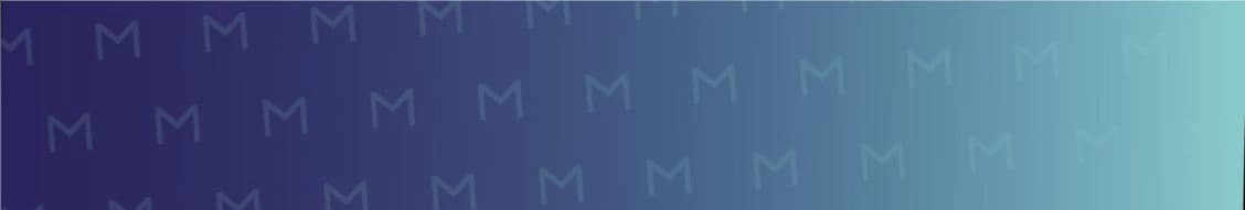 Monroe International banner