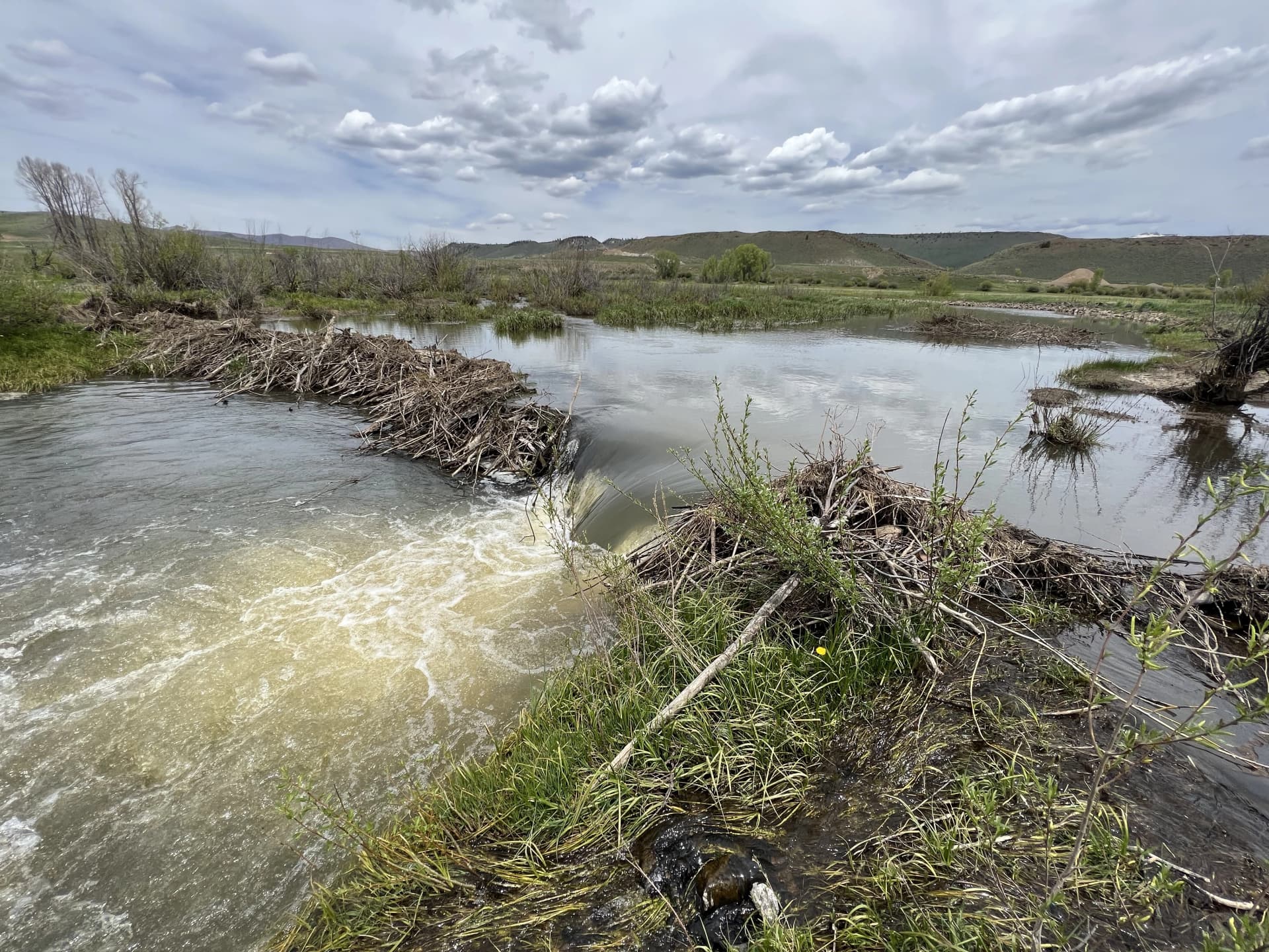 stillwater sciences banner