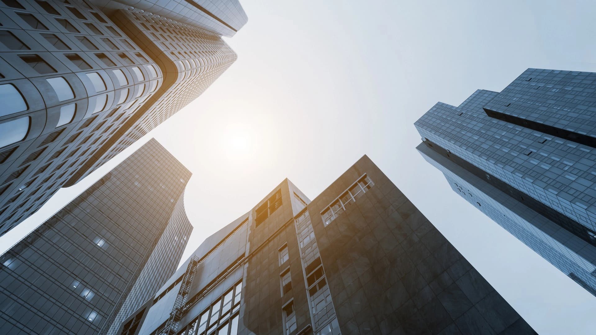 Overland Group, Inc. banner