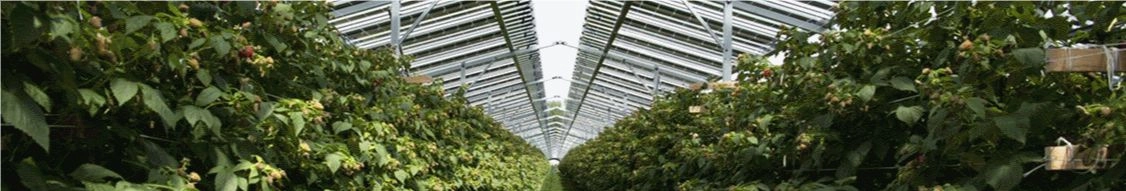 Baywa R.E. Emea banner