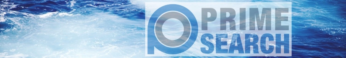 The Prime Search Group banner