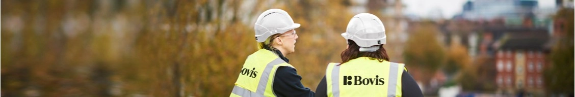 Bovis banner
