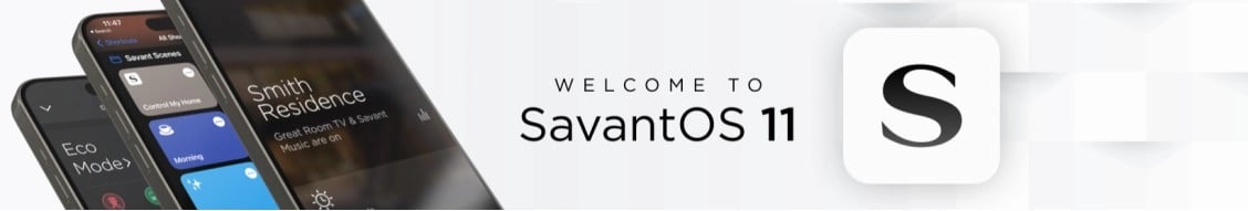 Savant Systems banner
