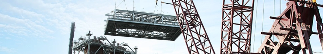deep south crane and rigging, llc