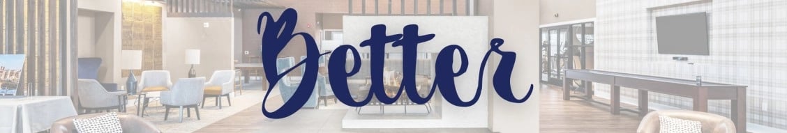 Metropolitan Management Group banner