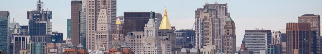 New York Life Real Estate Investors