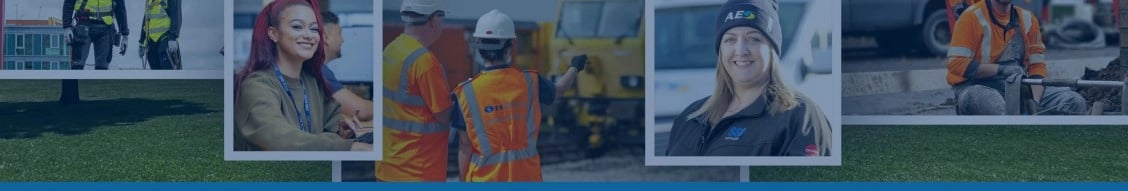 South Staffordshire Plc banner