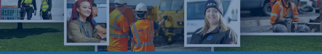 South Staffordshire Plc