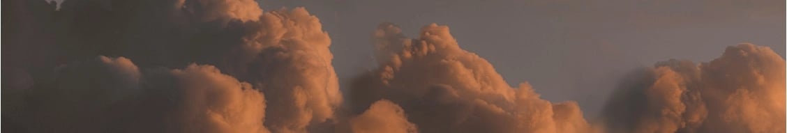 Bosa Properties banner