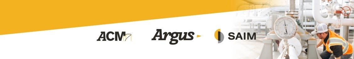 Argus Consulting, Inc.