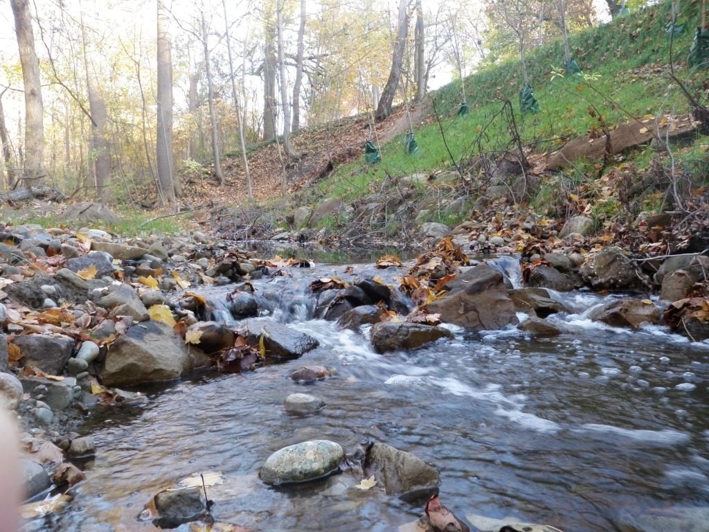 enviroscience, inc. banner