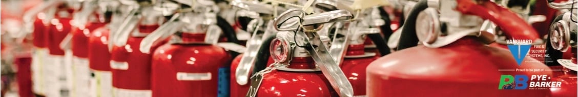 vanguard fire & security systems, inc.