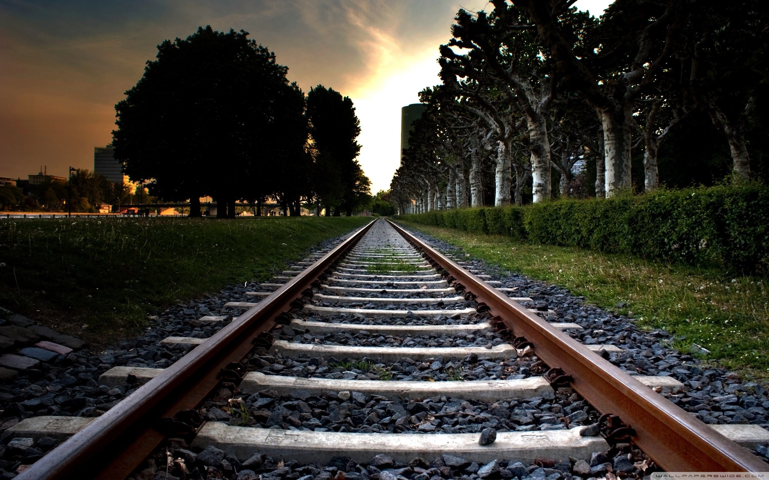 Cathcart Rail