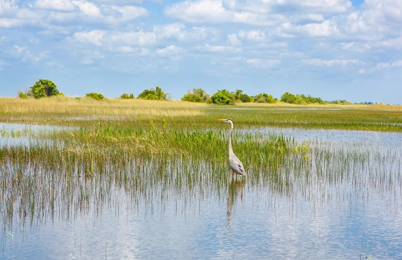 Pacscon Geoenvironmental, Inc.