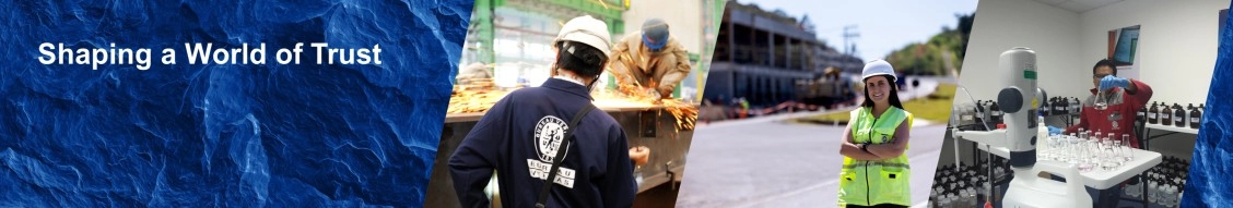 Bureau Veritas Group banner