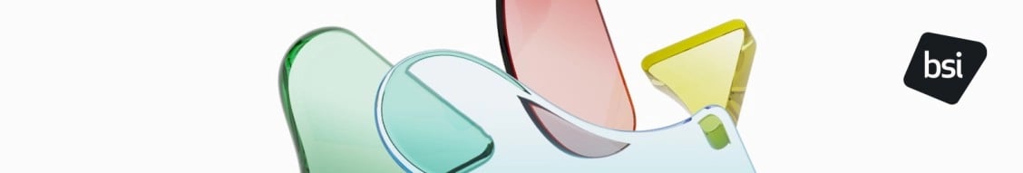 bsi consulting banner