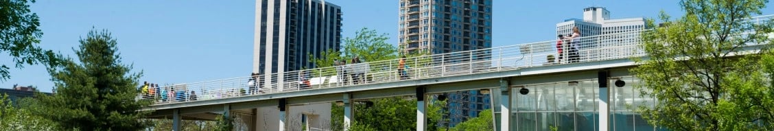 Terra Engineering, Ltd. banner