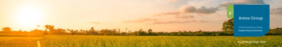 antea group usa banner